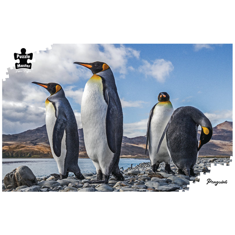 Load image into Gallery viewer, Penguins