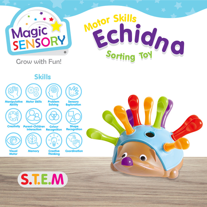 Load image into Gallery viewer, Fine Motor Skills Echidna
