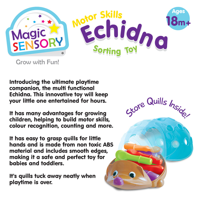 Load image into Gallery viewer, Fine Motor Skills Echidna