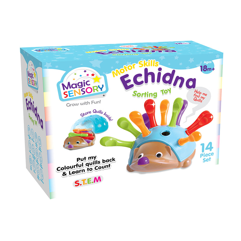 Load image into Gallery viewer, Fine Motor Skills Echidna