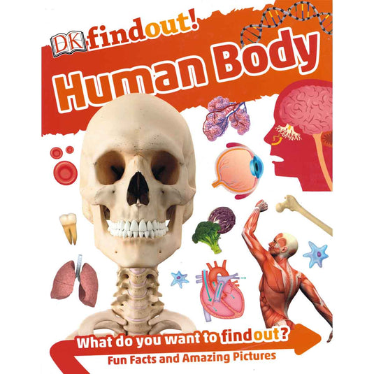 DK Findout! Human Body