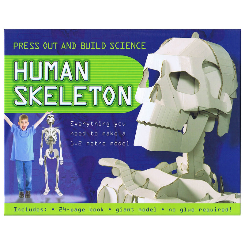 Load image into Gallery viewer, Press Out And Build - Human Skeleton
