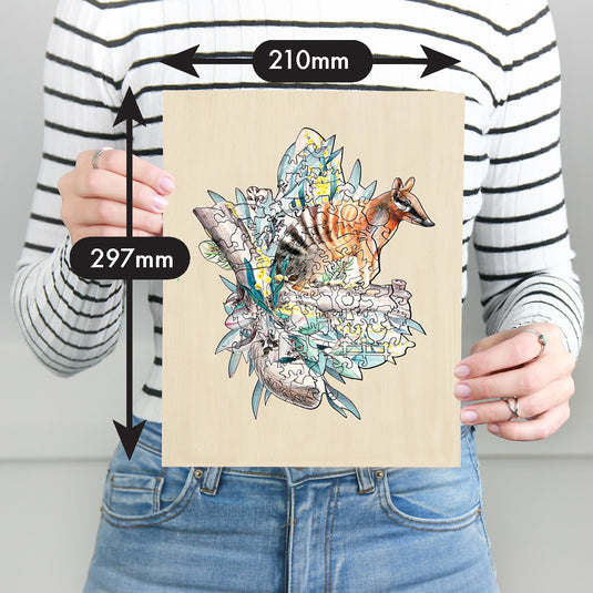 Numbat