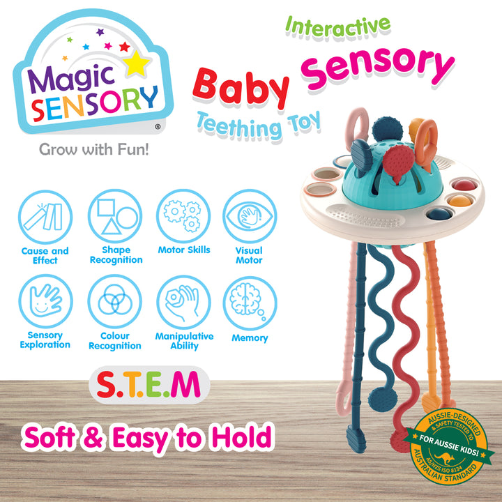 Interactive Baby Sensory Teething Toy – BMS Brands