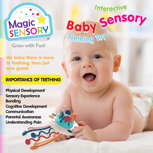 互动婴儿感官出牙玩具