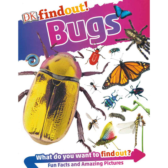 DK Findout! Bugs