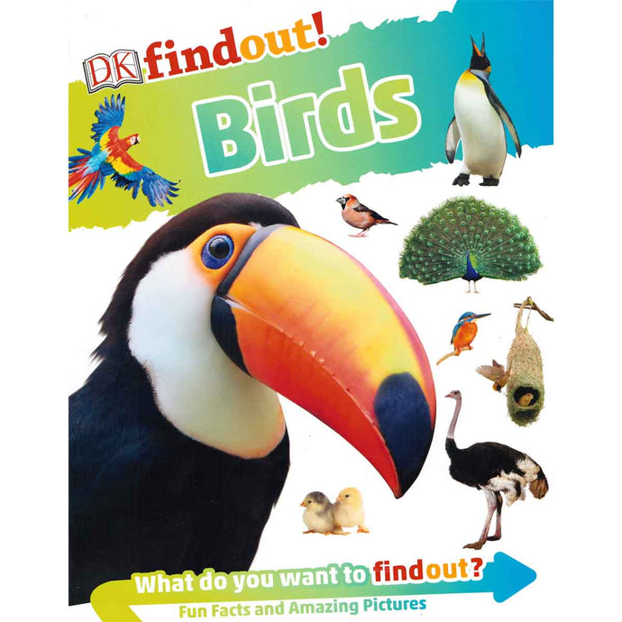 DK Findout! Birds