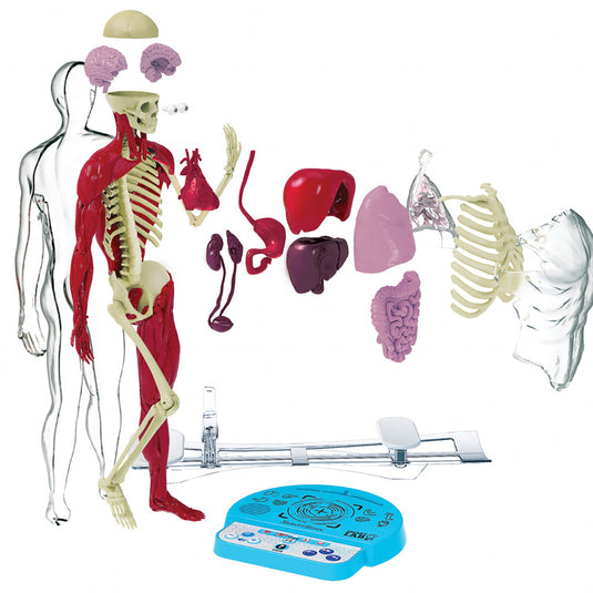 Ultimate Squishy Human Body Lab With SmartScan Technology
