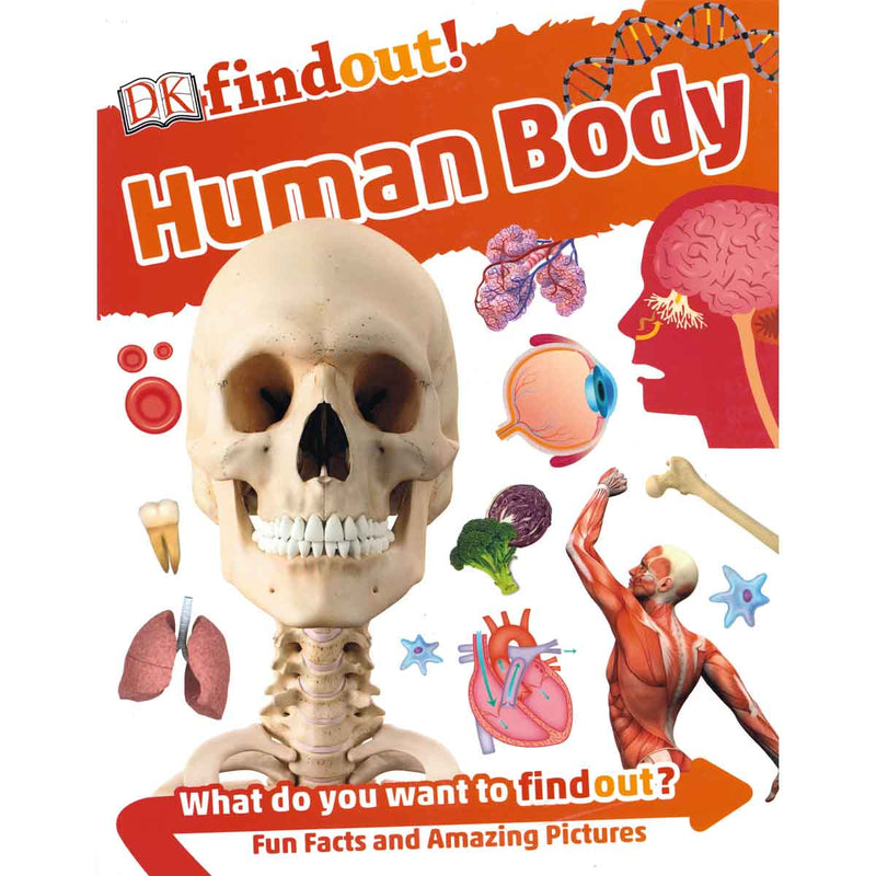 Load image into Gallery viewer, DK Findout! Human Body
